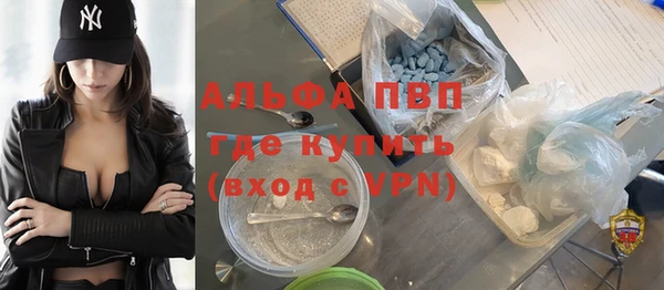 apvp Инта