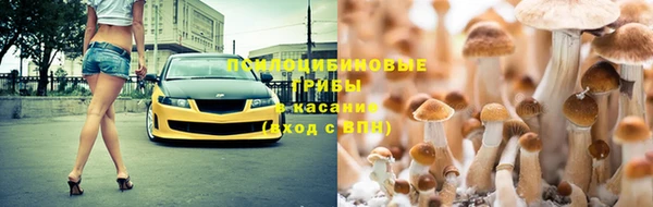 apvp Инта