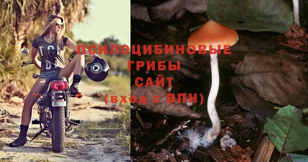 тгк Иннополис