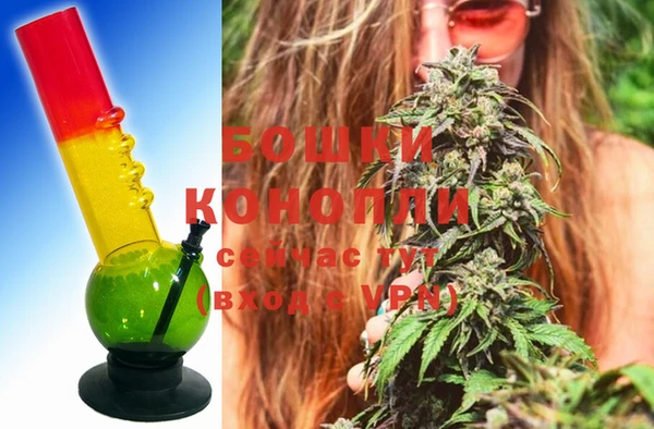 кокс Инсар