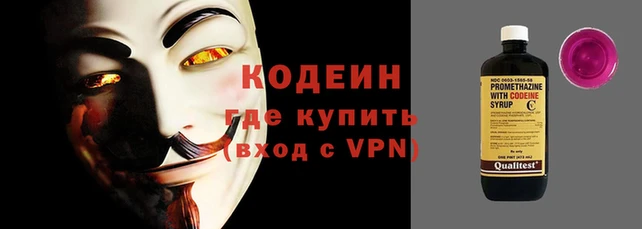 apvp Инта