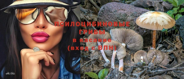 тгк Иннополис