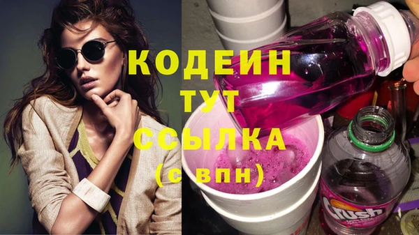 apvp Инта