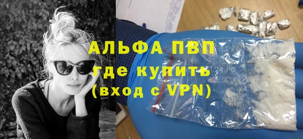 apvp Инта