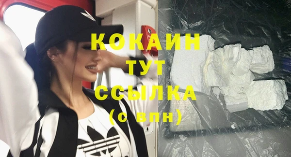 кокс Инсар