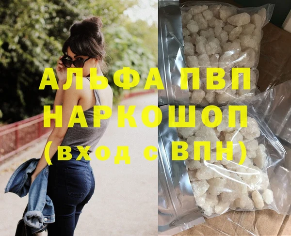 apvp Инта