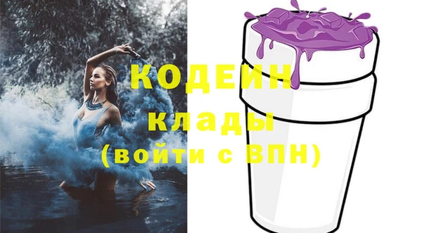 кокс Инсар
