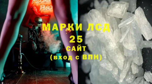 apvp Инта