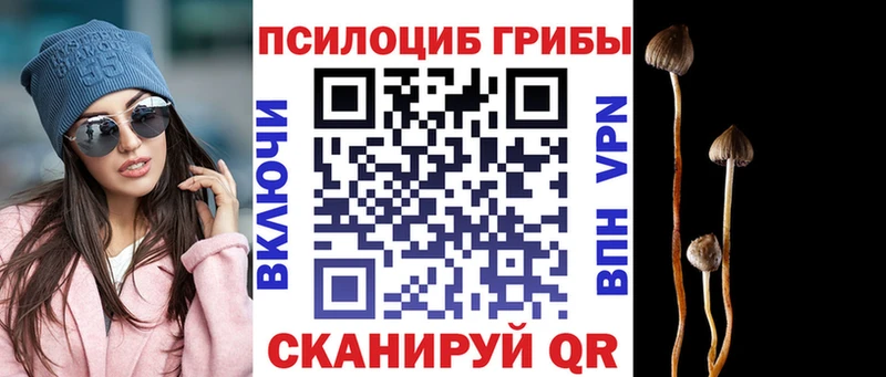 Купить закладки Дмитриев Псилоцибиновые грибы MAGIC MUSHROOMS