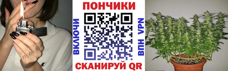 Купить где  Дмитриев  Каннабис SATIVA & INDICA 